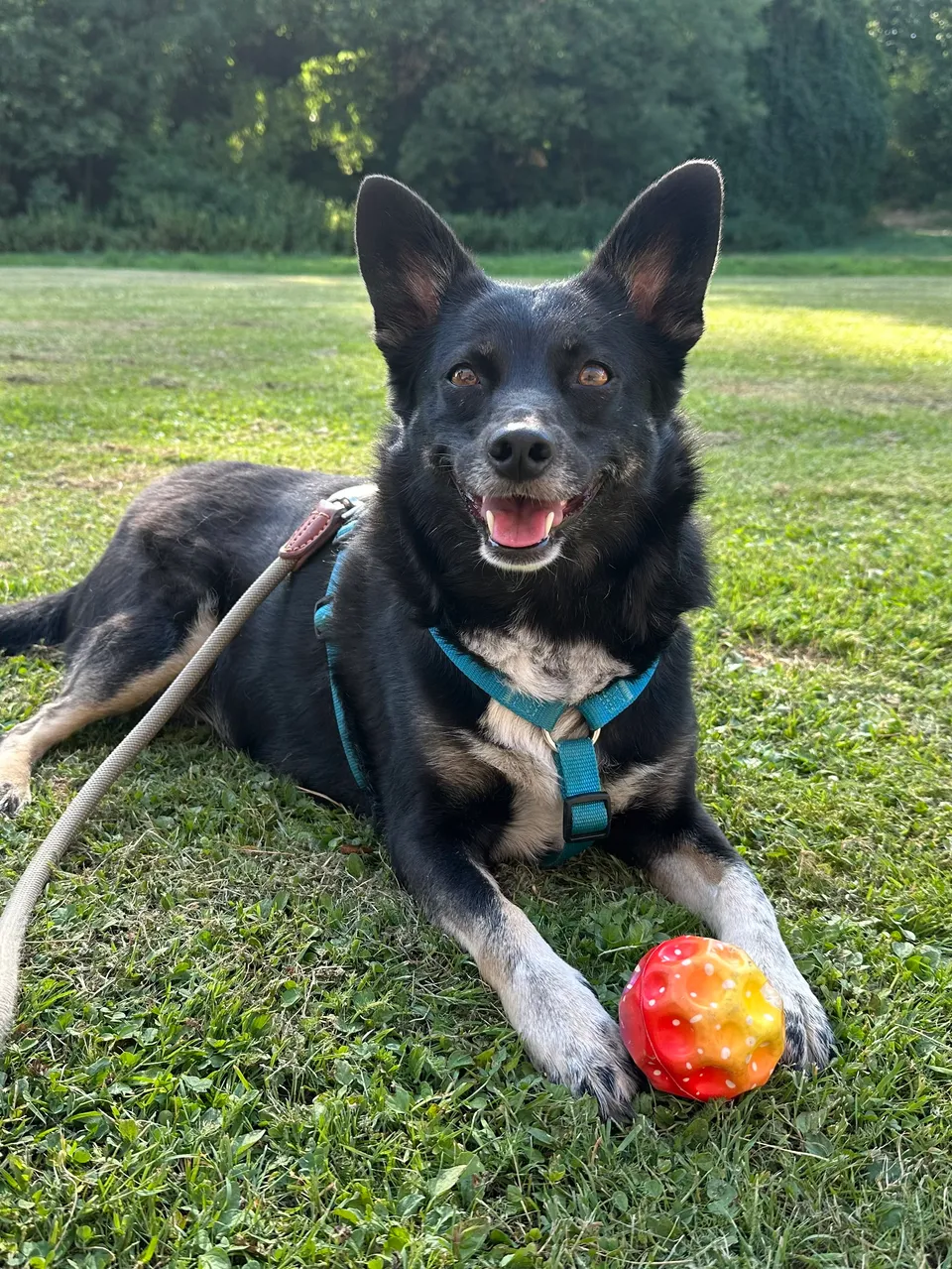 Akiko im neuen Zuhause